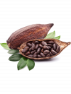 cacao